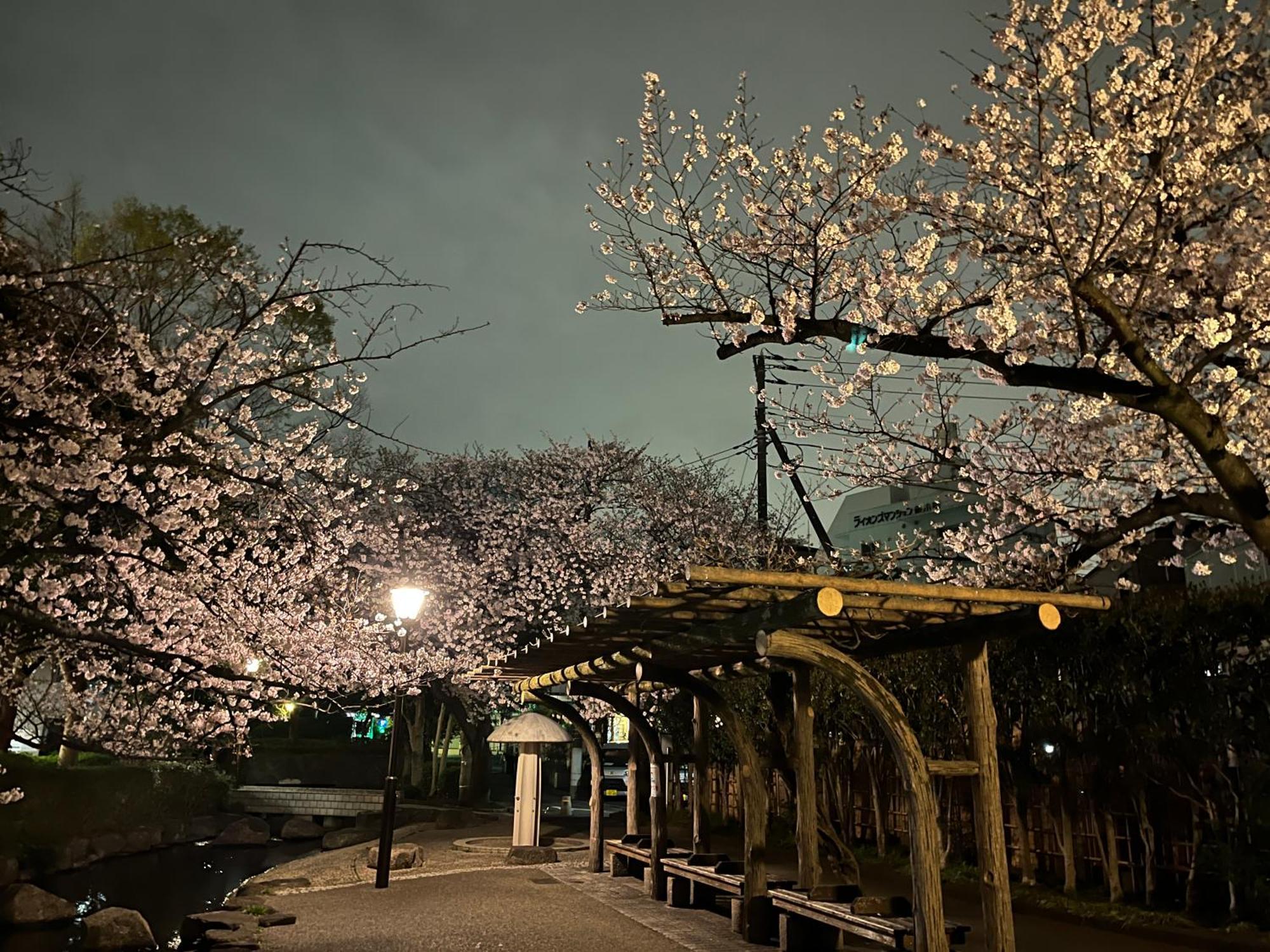 松島雅居 Lägenhet Tokyo prefektur Exteriör bild